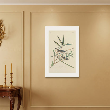 Orlonzo - WRAPPED CANVAS UNFRAMED 6090cm2436 ROOM