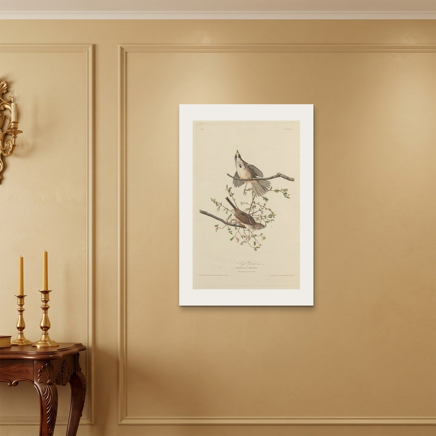 Orlonzo - WRAPPED CANVAS UNFRAMED 6090cm2436 ROOM