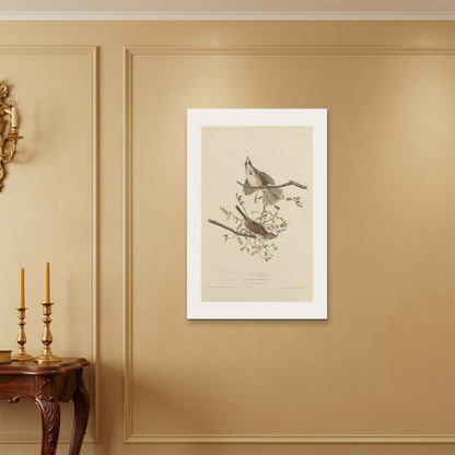 Orlonzo - WRAPPED CANVAS UNFRAMED 6090cm2436 ROOM