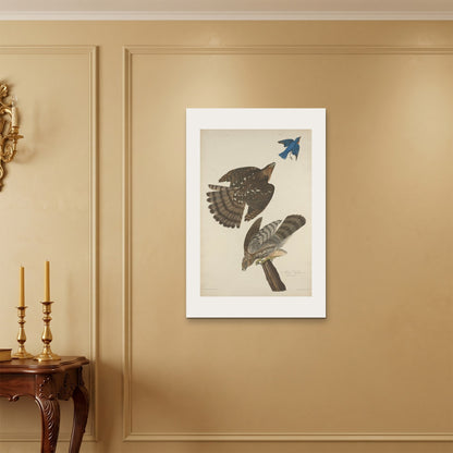 Orlonzo - WRAPPED CANVAS UNFRAMED 6090cm2436 ROOM