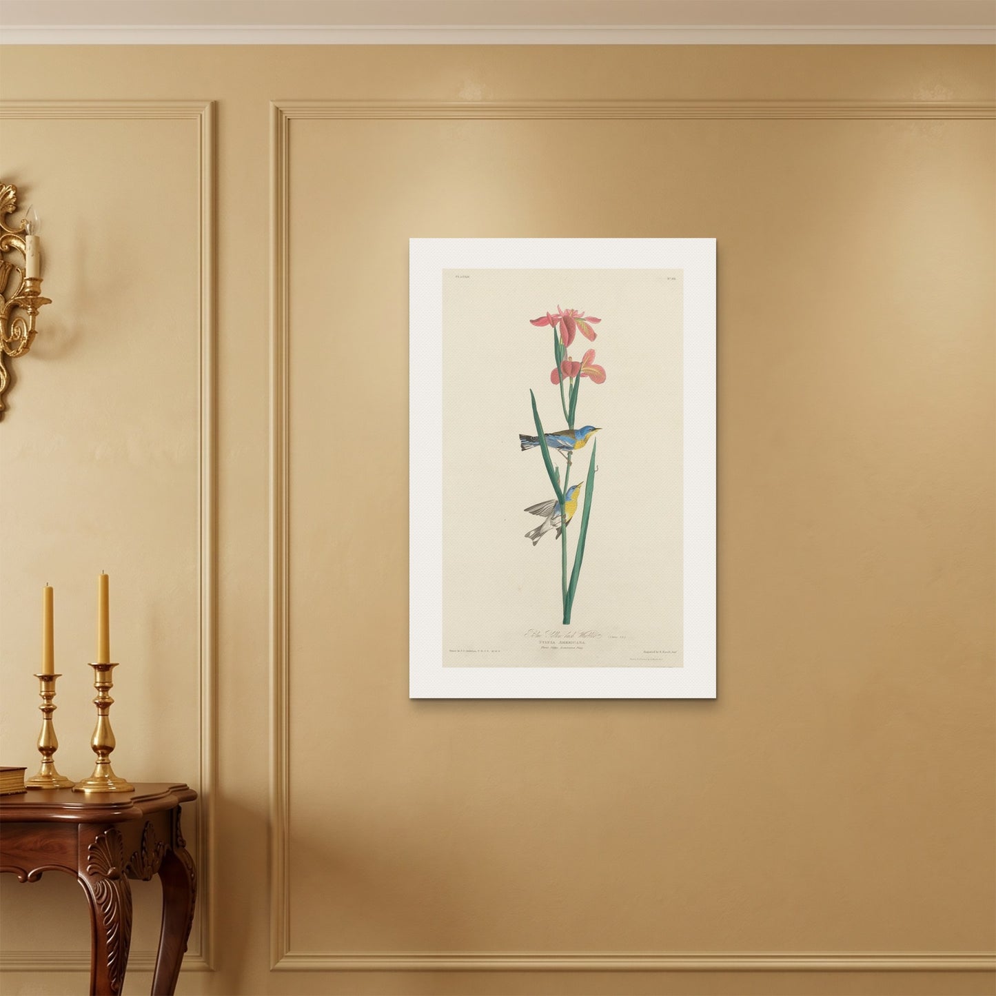 Orlonzo - WRAPPED CANVAS UNFRAMED 6090cm2436 ROOM