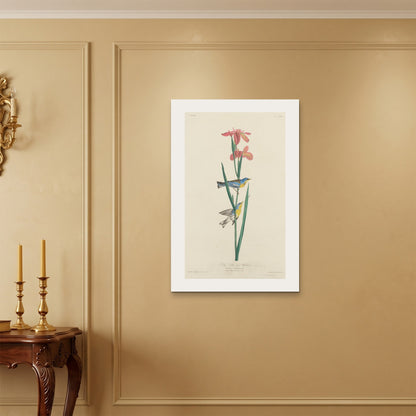 Orlonzo - WRAPPED CANVAS UNFRAMED 6090cm2436 ROOM