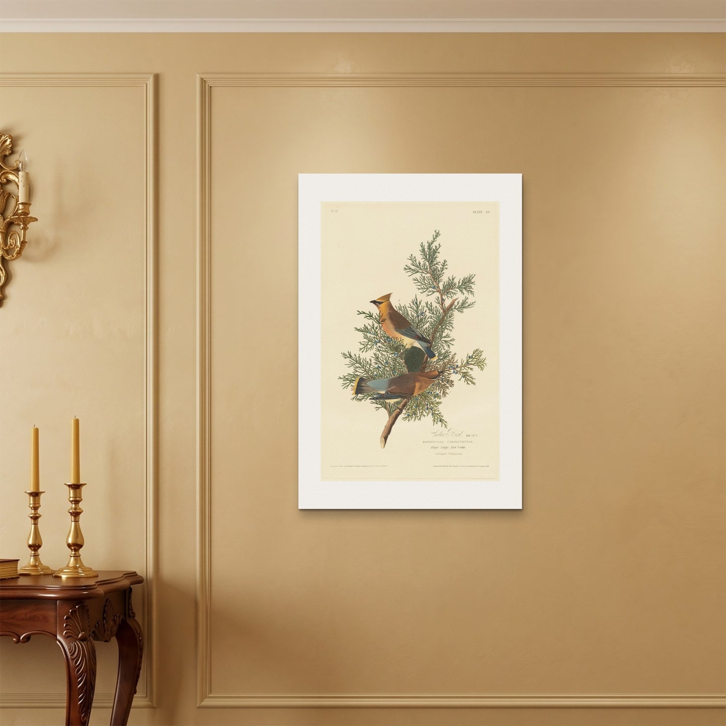 Orlonzo - WRAPPED CANVAS UNFRAMED 6090cm2436 ROOM