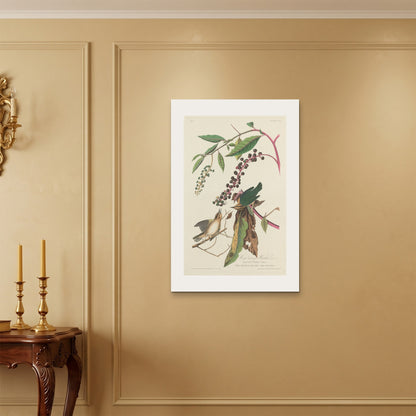 Orlonzo - WRAPPED CANVAS UNFRAMED 6090cm2436 ROOM