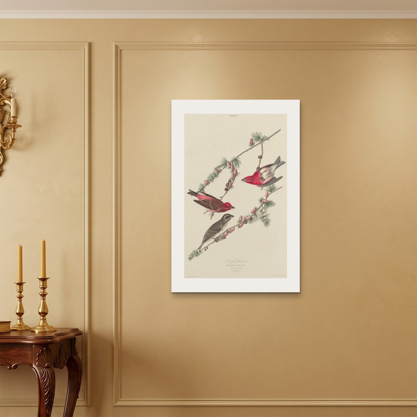 Orlonzo - WRAPPED CANVAS UNFRAMED 6090cm2436 ROOM