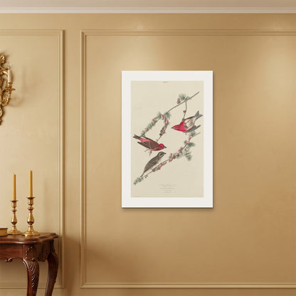 Orlonzo - WRAPPED CANVAS UNFRAMED 6090cm2436 ROOM