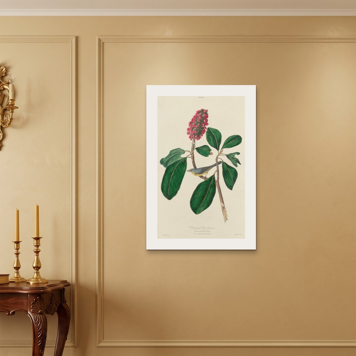 Orlonzo - WRAPPED CANVAS UNFRAMED 6090cm2436 ROOM