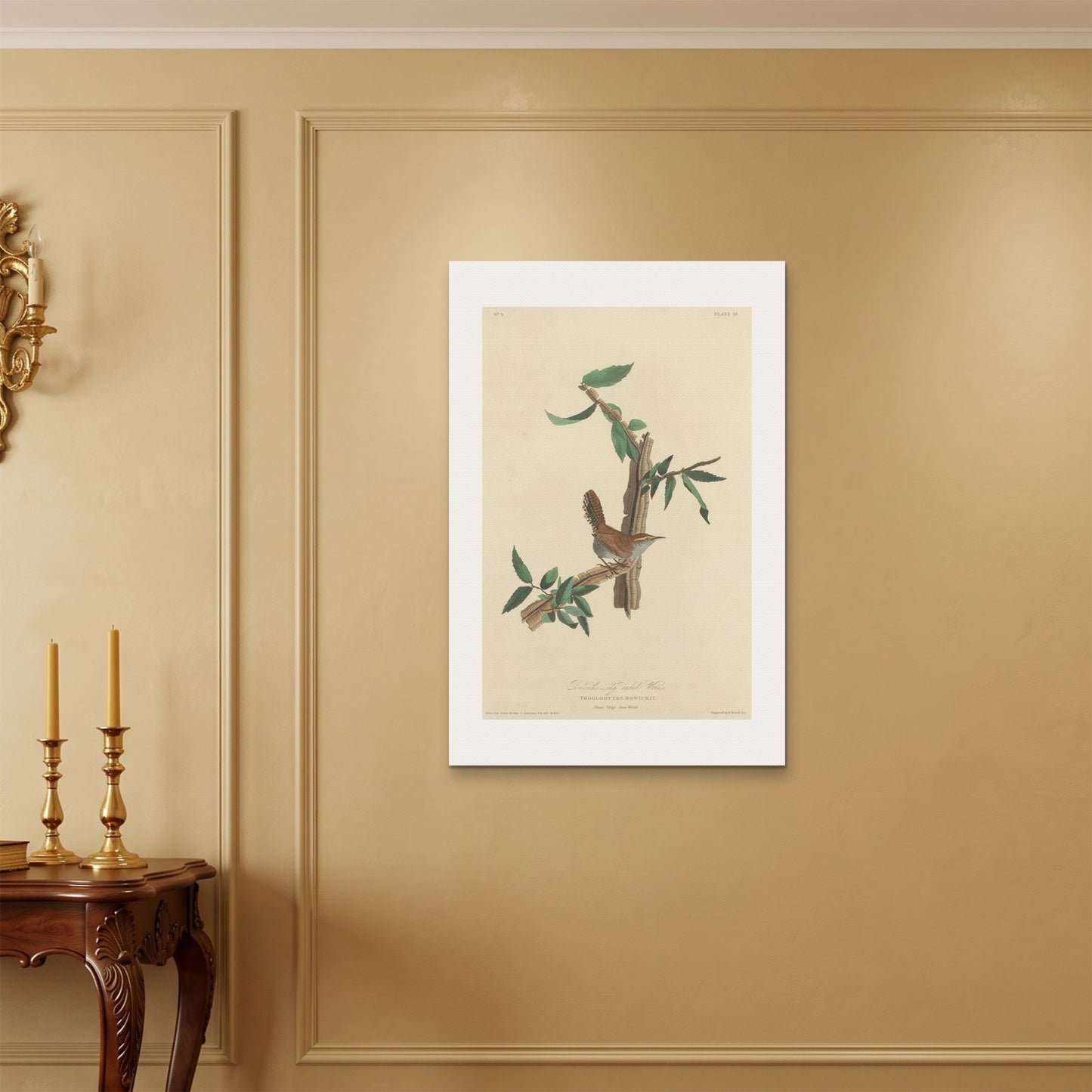 Orlonzo - WRAPPED CANVAS UNFRAMED 6090cm2436 ROOM