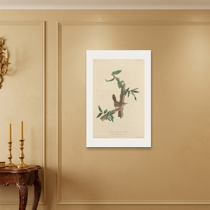 Orlonzo - WRAPPED CANVAS UNFRAMED 6090cm2436 ROOM