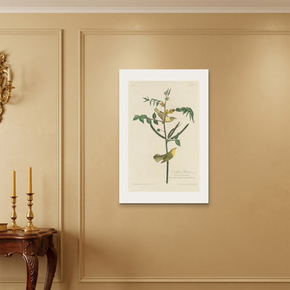 Orlonzo - WRAPPED CANVAS UNFRAMED 6090cm2436 ROOM
