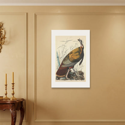 Orlonzo - WRAPPED CANVAS UNFRAMED 6090cm2436 ROOM