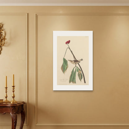 Orlonzo - WRAPPED CANVAS UNFRAMED 6090cm2436 ROOM
