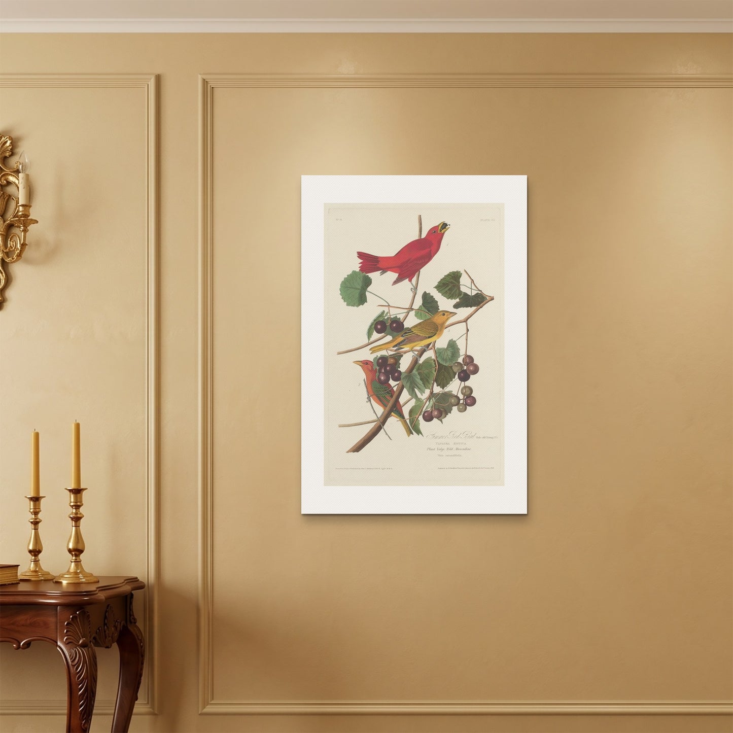 Orlonzo - WRAPPED CANVAS UNFRAMED 6090cm2436 ROOM
