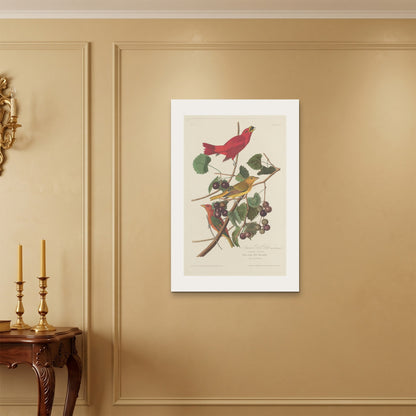 Orlonzo - WRAPPED CANVAS UNFRAMED 6090cm2436 ROOM