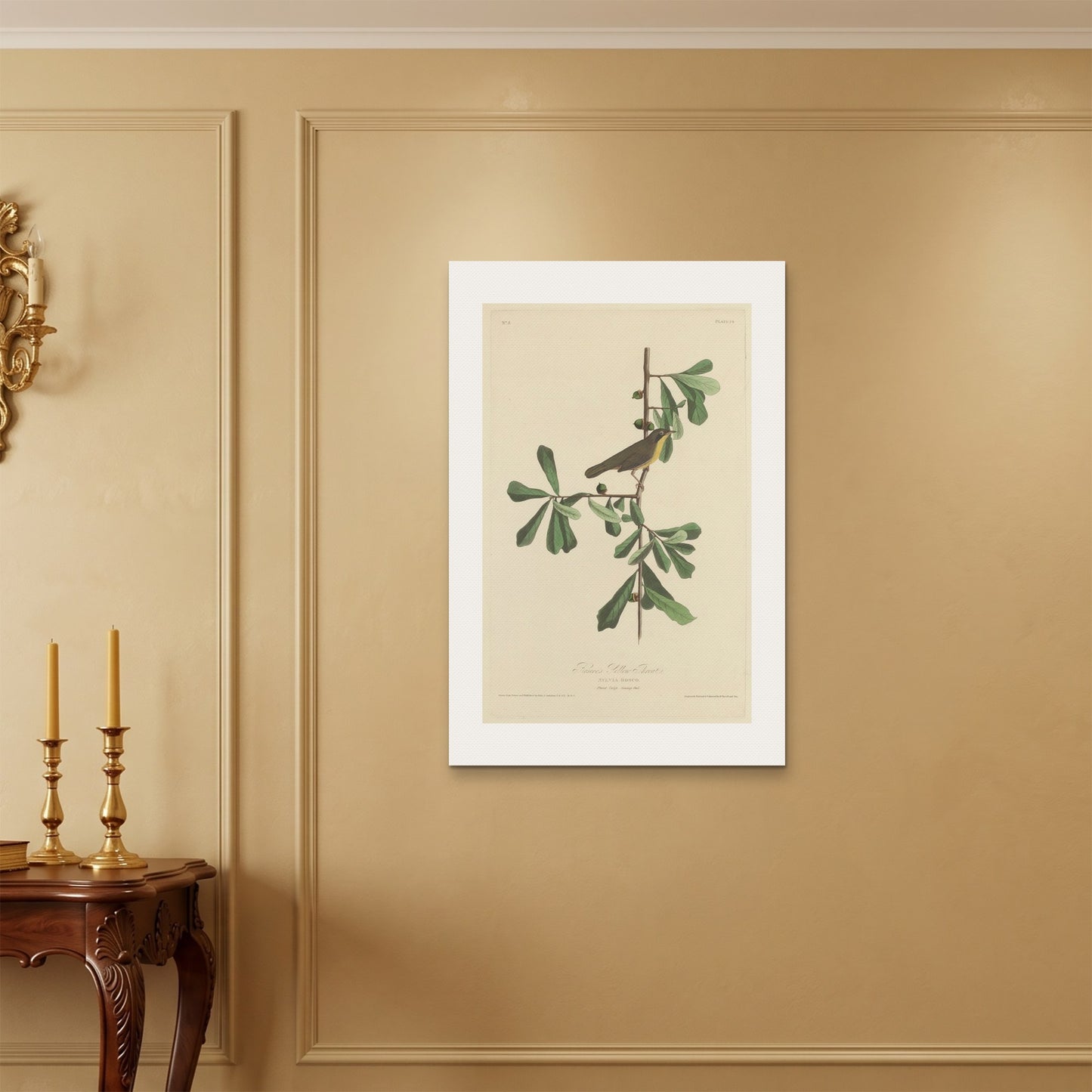 Orlonzo - WRAPPED CANVAS UNFRAMED 6090cm2436 ROOM