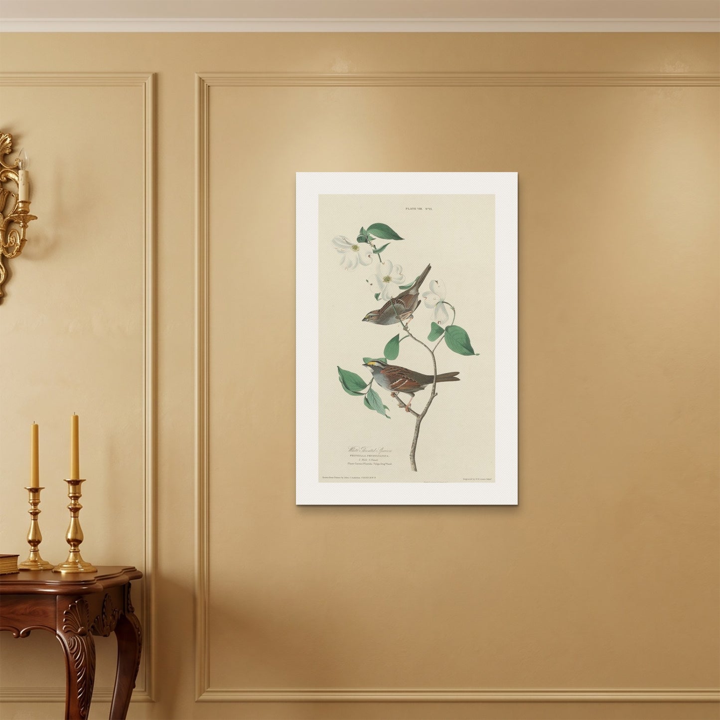 Orlonzo - WRAPPED CANVAS UNFRAMED 6090cm2436 ROOM