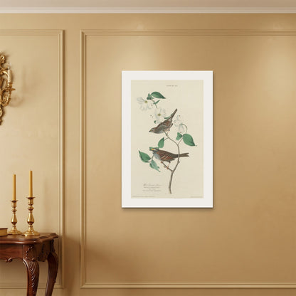 Orlonzo - WRAPPED CANVAS UNFRAMED 6090cm2436 ROOM