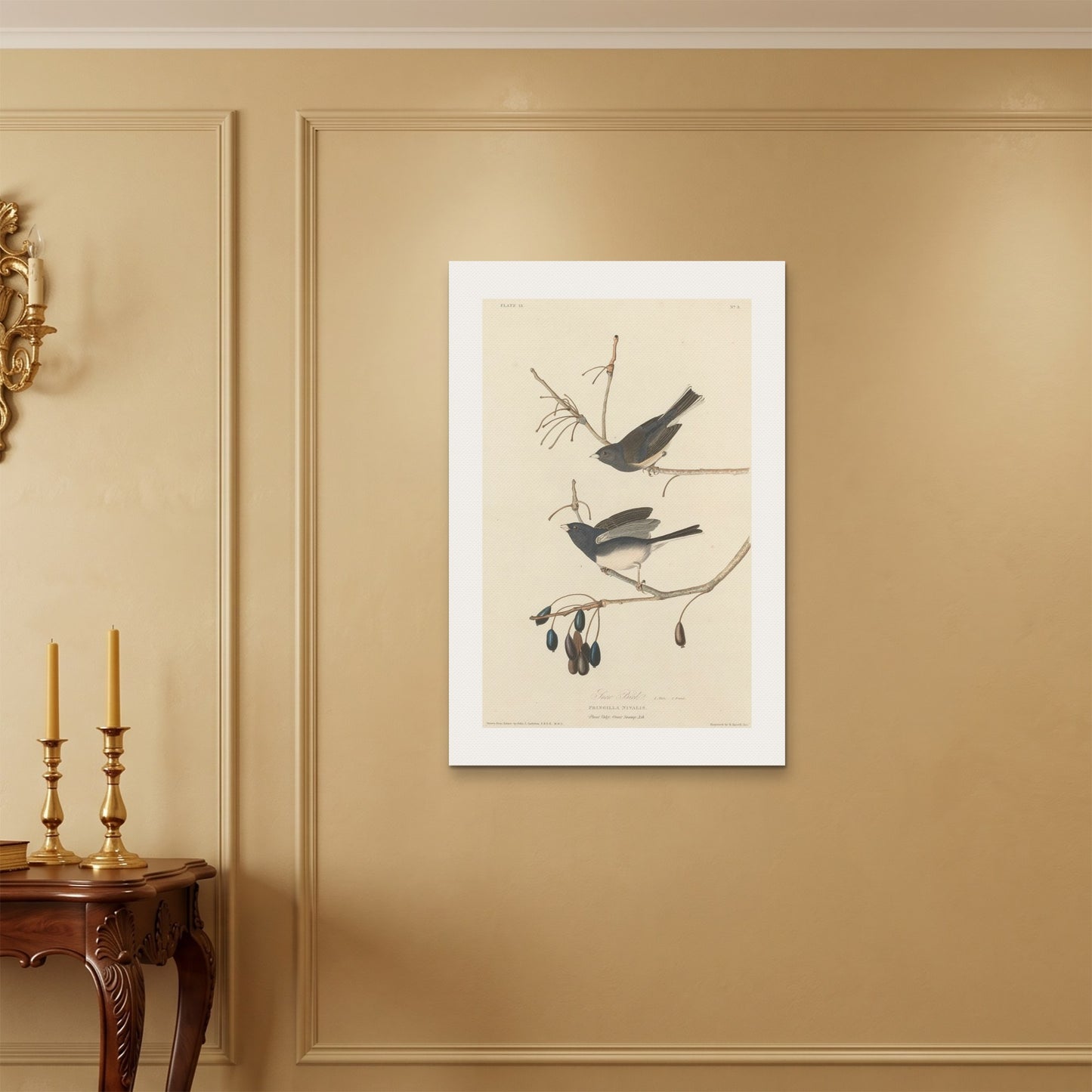 Orlonzo - WRAPPED CANVAS UNFRAMED 6090cm2436 ROOM