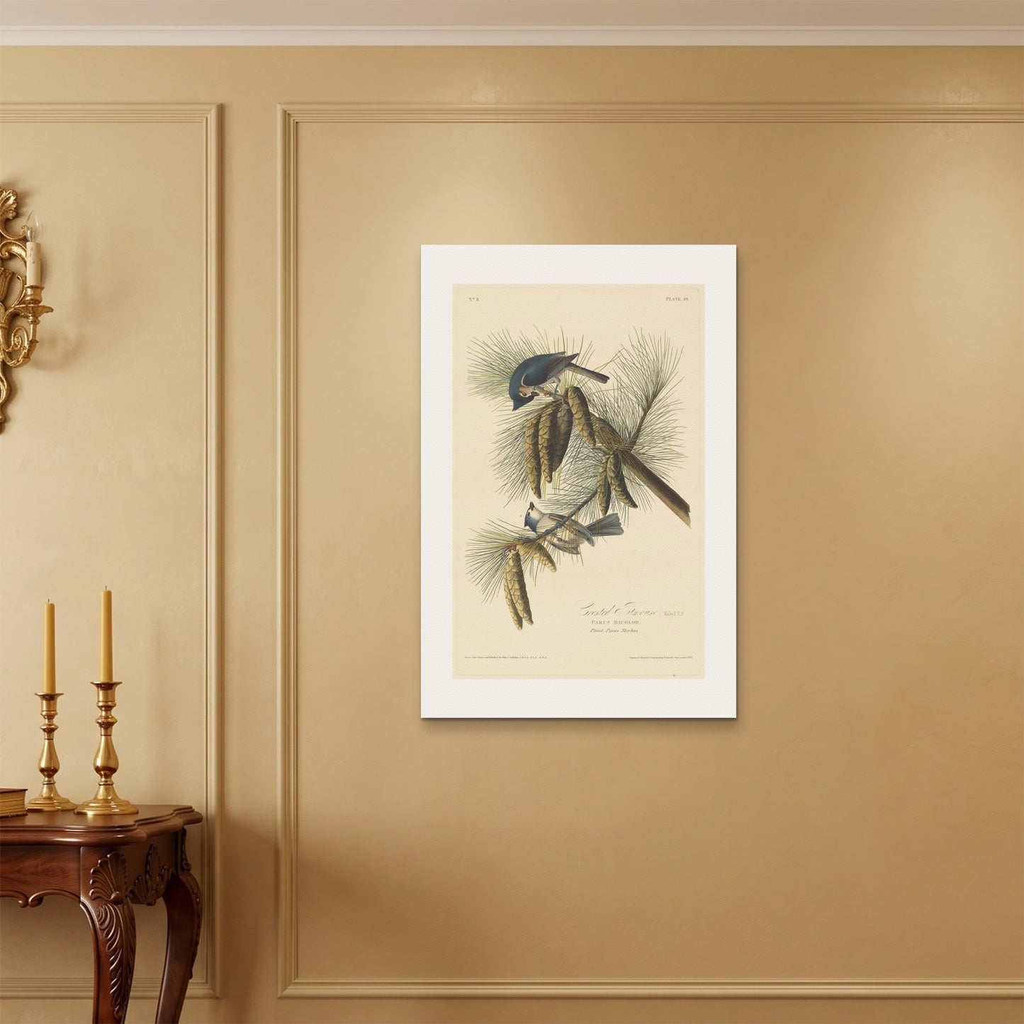 Orlonzo - WRAPPED CANVAS UNFRAMED 6090cm2436 ROOM