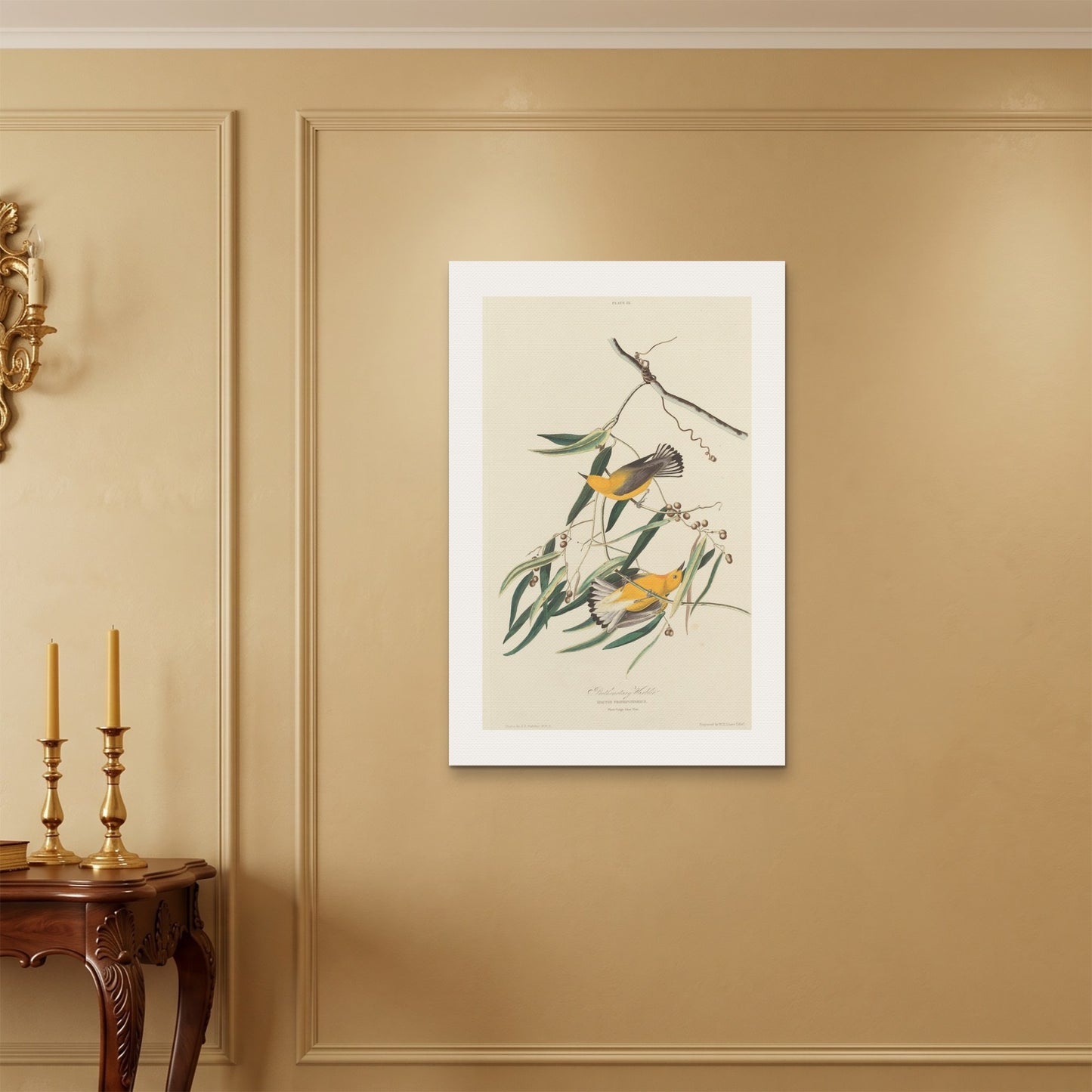 Orlonzo - WRAPPED CANVAS UNFRAMED 6090cm2436 ROOM
