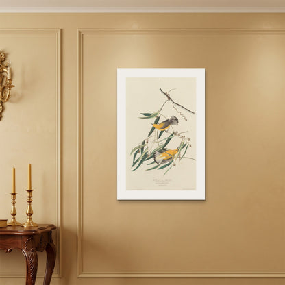 Orlonzo - WRAPPED CANVAS UNFRAMED 6090cm2436 ROOM