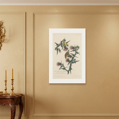 Orlonzo - WRAPPED CANVAS UNFRAMED 6090cm2436 ROOM