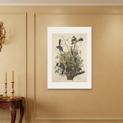 Orlonzo - WRAPPED CANVAS UNFRAMED 70100cm2840 ROOM