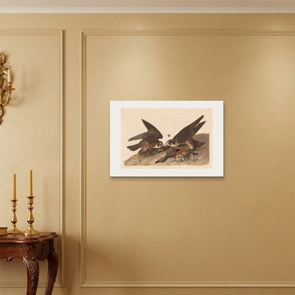 Orlonzo - WRAPPED CANVAS UNFRAMED 7550cm3020 ROOM