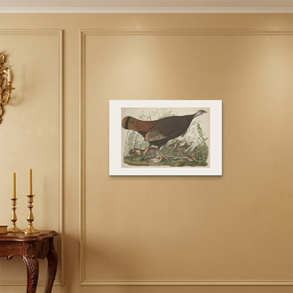 Orlonzo - WRAPPED CANVAS UNFRAMED 7550cm3020 ROOM
