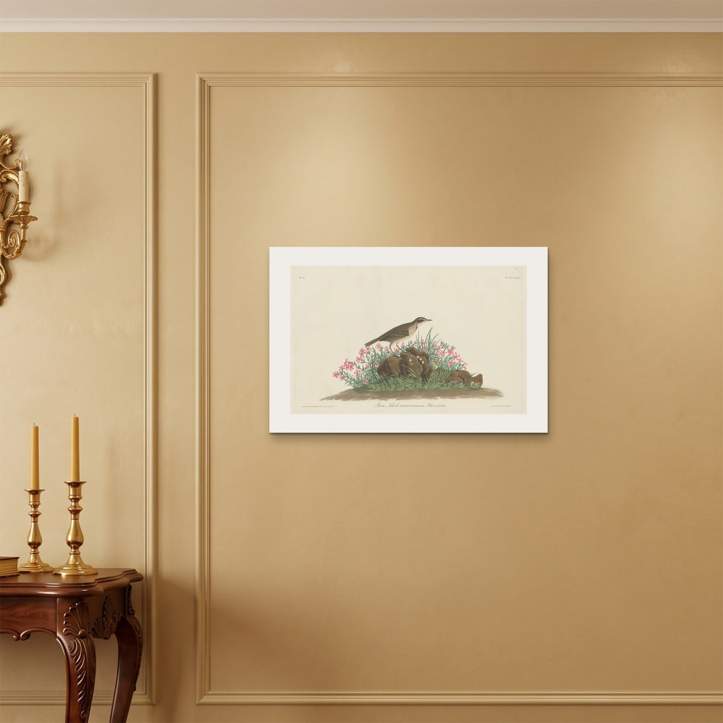 Orlonzo - WRAPPED CANVAS UNFRAMED 7550cm3020 ROOM