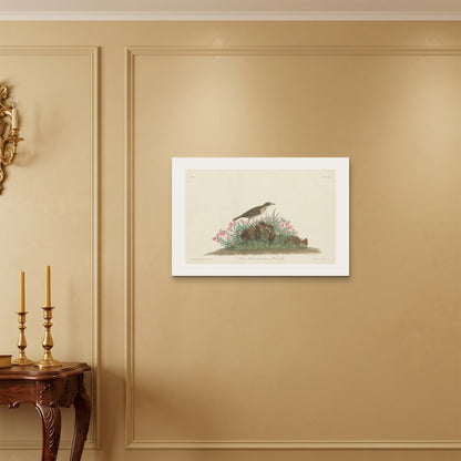 Orlonzo - WRAPPED CANVAS UNFRAMED 7550cm3020 ROOM