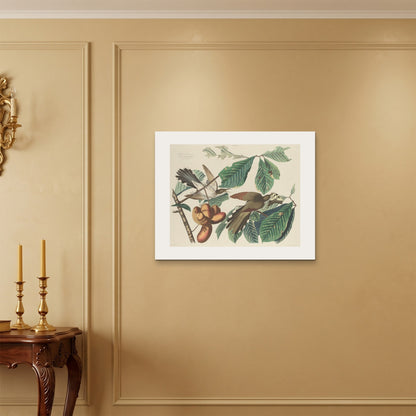 Orlonzo - WRAPPED CANVAS UNFRAMED 7560cm3024 ROOM