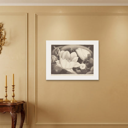Orlonzo - WRAPPED CANVAS UNFRAMED 8060cm3224 ROOM