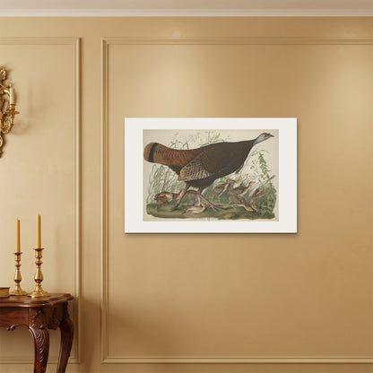 Orlonzo - WRAPPED CANVAS UNFRAMED 9060cm3624 ROOM