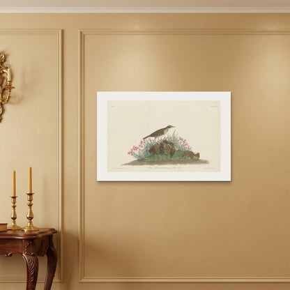 Orlonzo - WRAPPED CANVAS UNFRAMED 9060cm3624 ROOM