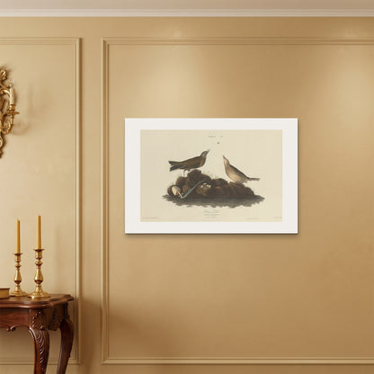 Orlonzo - WRAPPED CANVAS UNFRAMED 9060cm3624 ROOM
