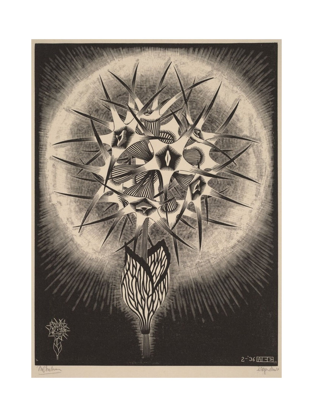 Orlonzo - FINE ART PRINT UNFRAMED PRINT PREVIEW