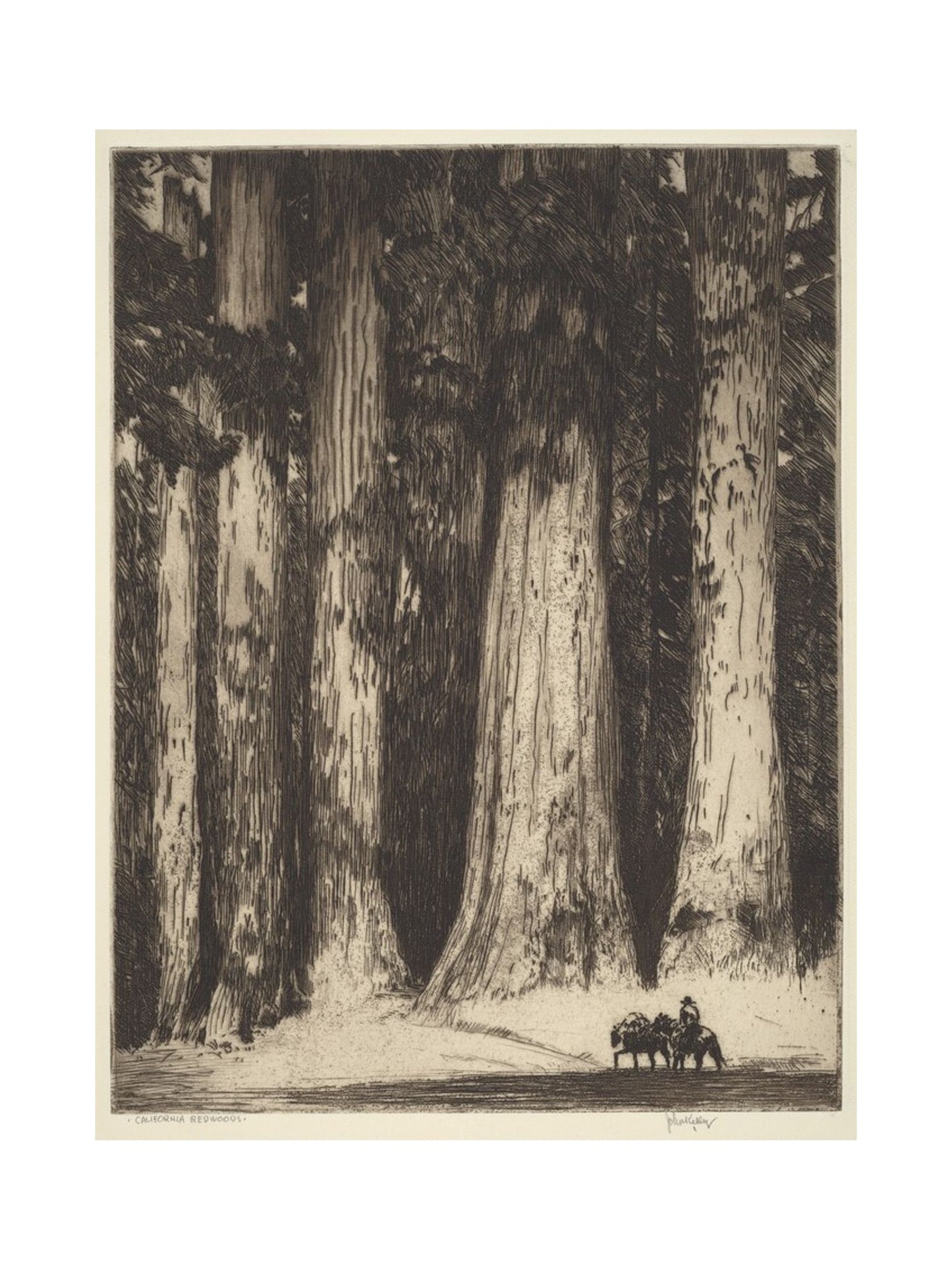 Orlonzo - FINE ART PRINT UNFRAMED PRINT PREVIEW