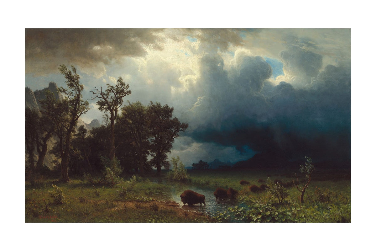 Orlonzo - FINE ART PRINT UNFRAMED PRINT PREVIEW