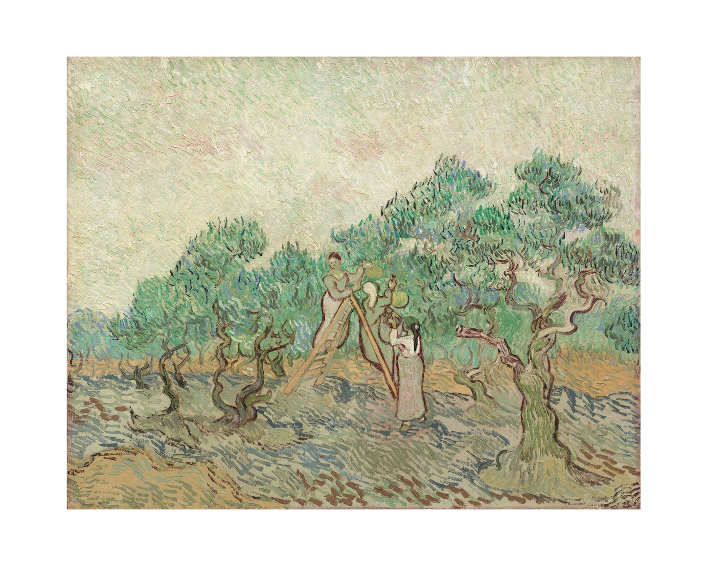Orlonzo - FINE ART PRINT UNFRAMED PRINT PREVIEW