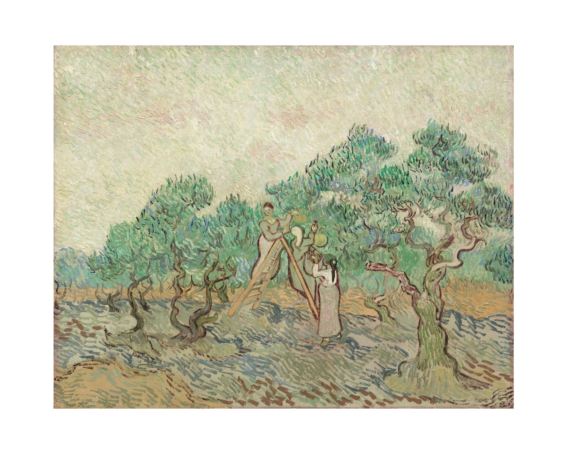 Orlonzo - FINE ART PRINT UNFRAMED PRINT PREVIEW
