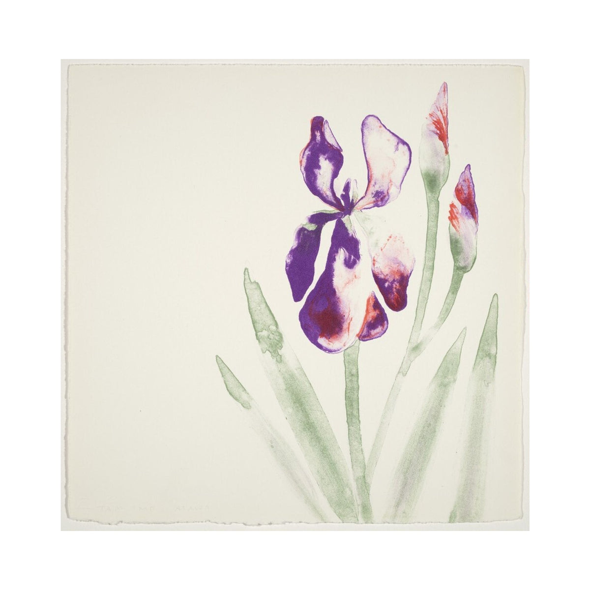 Orlonzo - FINE ART PRINT UNFRAMED PRINT PREVIEW