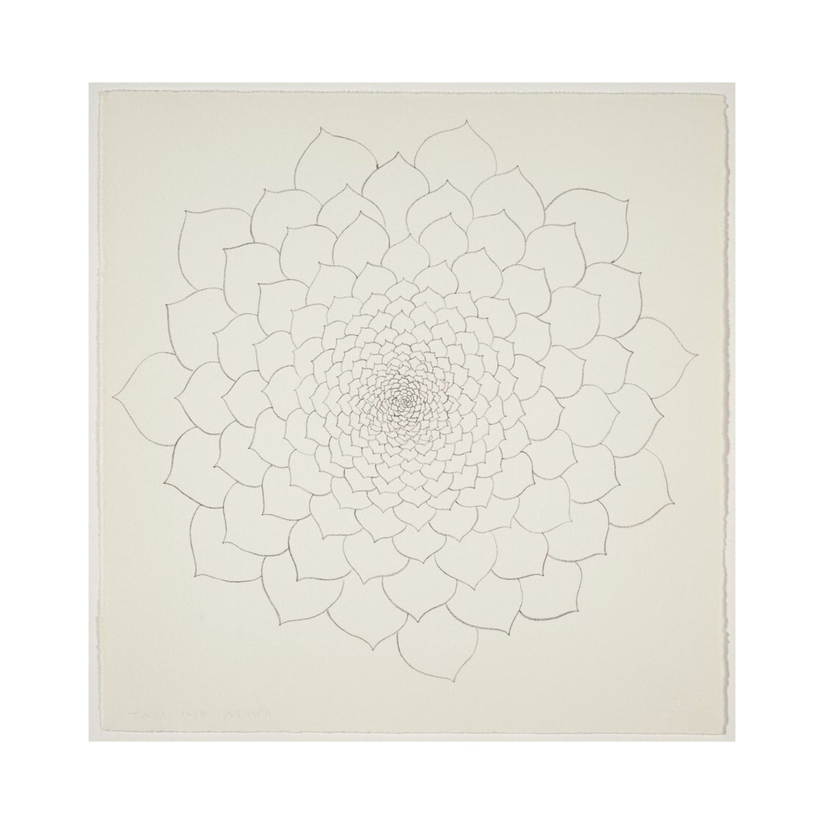 Orlonzo - FINE ART PRINT UNFRAMED PRINT PREVIEW