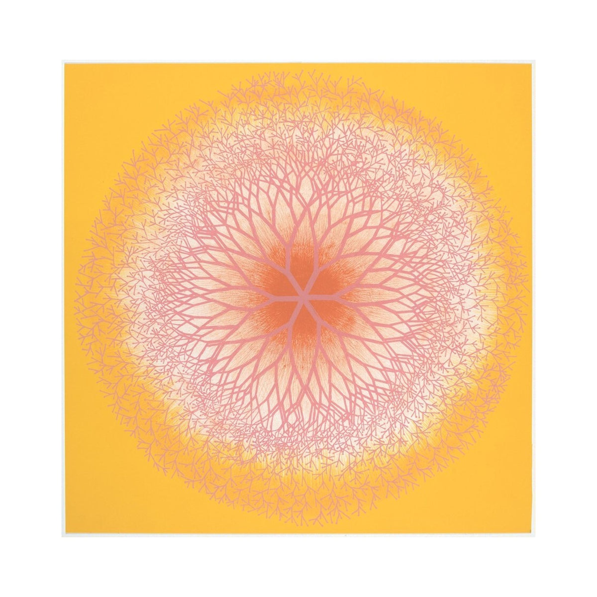 Orlonzo - FINE ART PRINT UNFRAMED PRINT PREVIEW
