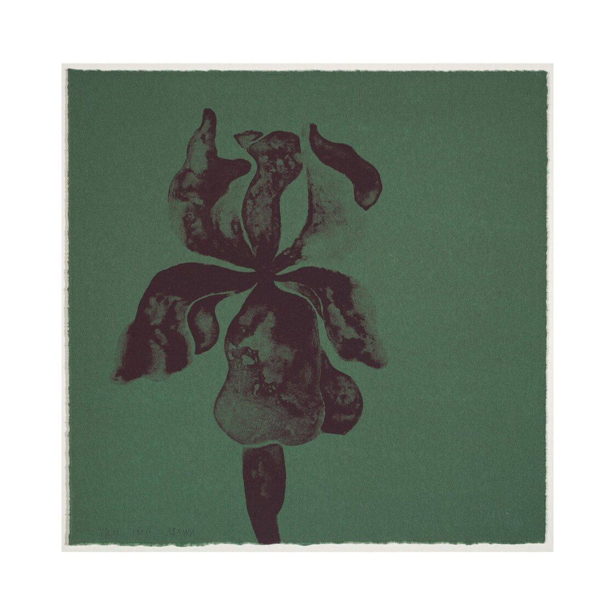Orlonzo - FINE ART PRINT UNFRAMED PRINT PREVIEW