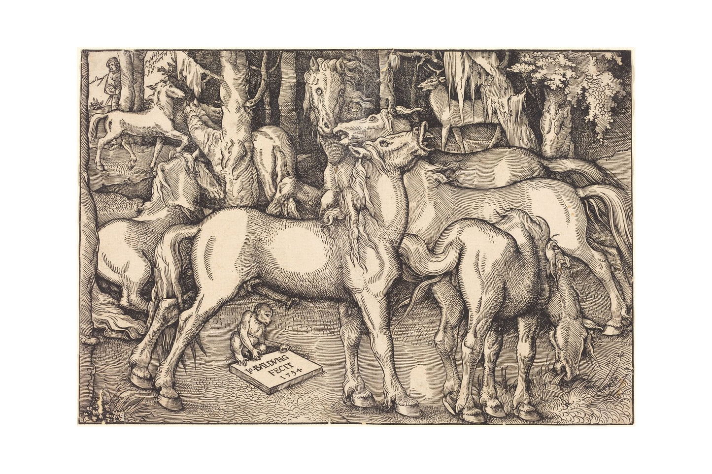 Orlonzo - FINE ART PRINT UNFRAMED PRINT PREVIEW