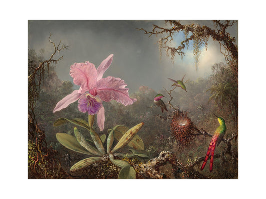 Orlonzo - FINE ART PRINT UNFRAMED PRINT PREVIEW