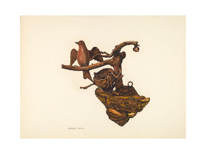 Orlonzo - FINE ART PRINT UNFRAMED PRINT PREVIEW