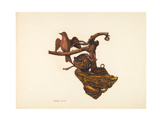 Orlonzo - FINE ART PRINT UNFRAMED PRINT PREVIEW