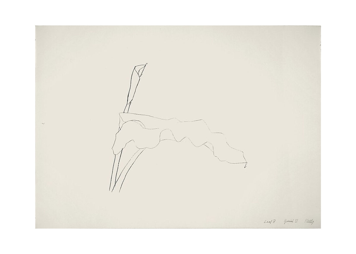 Orlonzo - FINE ART PRINT UNFRAMED PRINT PREVIEW